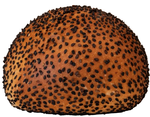 Ajonjoli-negro
